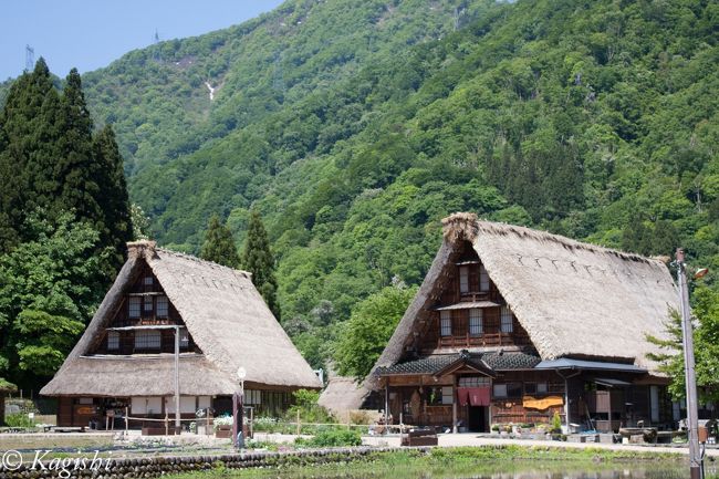 白川郷が世界遺産に認定されたとき、五箇山の菅沼集落と相倉集落も同時に世界遺産に認定されました。<br />合掌造りと言えば白川郷が有名ですが、小さくまとまった合掌造り集落にひかれ訪問することにしました。<br />今回も高速バスを使用して、朝からフル活動<br />高岡からレンタカーを借りれば白川郷も回ることかできますが、レンタカーを借りると予定を積み込みすぎになってしまうので、今日はのんびり現地での移動は路線バスと自分の足を使った五箇山１日旅<br />