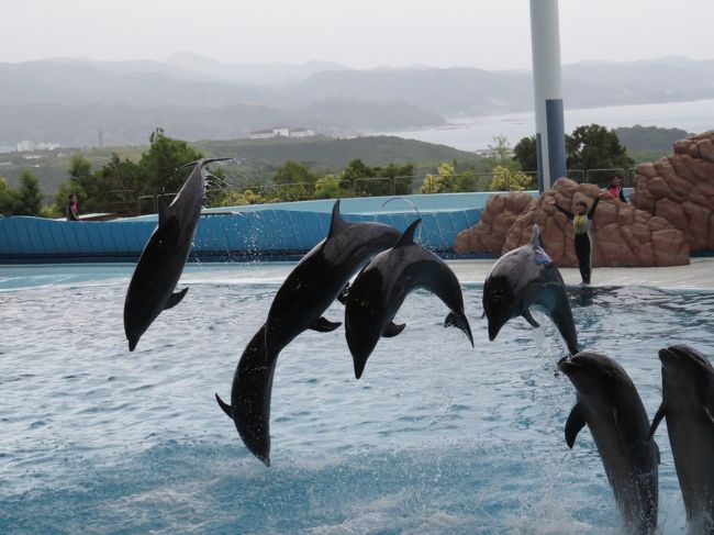 南紀白浜温泉へ、一泊夫婦旅行。<br /><br />二日目<br /><br />５０代夫婦、アドベンチャーワールドにやって来ました。<br /><br />これが、想像以上に楽しめて、癒されました。<br /><br />大好きなイルカたちのみです。<br /><br />『マリンライブでの感動編』です。