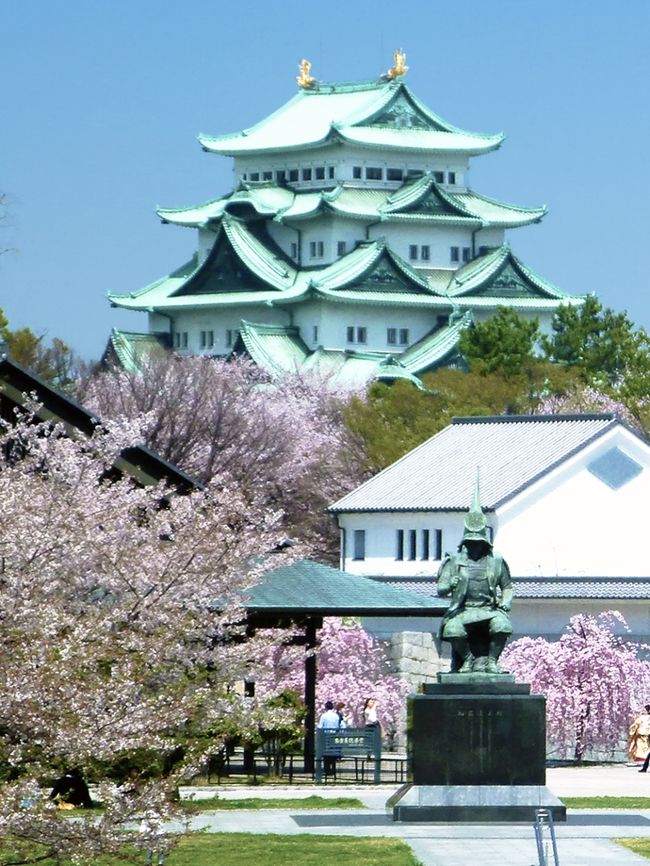 　名古屋城近辺や丸の内界隈までは良く訪れますが、名古屋城内へは仕事でセビリアＴＶ局の撮影取材に訪れた時以来１５年ぶり。それ以前は私の米国ホストファミリーが来日した３０数年前の訪問と子供の頃、１度だけ親父に連れられて来た時は未だ天主閣もない石垣だけの時代で菊人形展が開催されていた記憶が残っています。午後のある日時間が空いたので少し桜は散かけでしたが本丸御殿建設中の城内を２週連続で散歩してみました。<br /><br />　５月２９日には本丸御殿内も一般公開されるとか。次回は素晴らしい金襖（ふすま絵）など公開され次第再度訪れたいと思います。