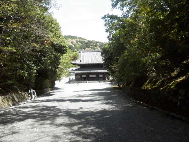 京都旅行で泉涌寺に行って見たら いつも静かな泉涌寺が<br />何やら賑やか。七福神めぐりの人が一杯。せっかくのチャンス 色紙を買って巡りました。