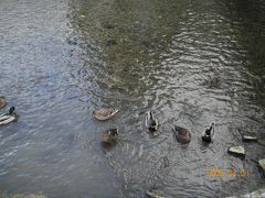 イギリスの原点