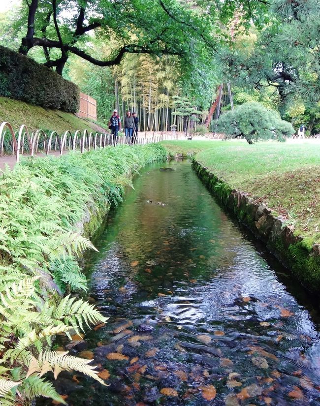 １日目<br /><br />山陰山陽5県を、五日間でたっぷり巡る旅の始まりです。<br />世界遺産をはじめ、名所旧跡が盛りだくさん。<br />ローカルな温泉にもたっぷり浸り、<br />近代日本の幕開けとなった歴史の舞台にも触れたり、<br />日替わりの充実旅です。<br /><br />１日目<br />〓〓東京(東海道･山陽新幹線)〓〓岡山＝＝『後楽園』＝＝鳥取県･三朝温泉『斉木別館』泊<br /><br />２日目<br />＝＝倉吉駅〈山陰本線･スーパーまつかぜ〉〓〓米子駅＝＝『お菓子の寿城』＝＝境港＝＝『水木しげるロード』＝＝島根県･『松江城』＝＝『足立美術館』＝＝玉造温泉･曲水の庭『玉泉』泊<br /><br />３日目<br />＝＝『出雲大社』＝＝世界遺産･『石見銀山』＝＝山口県･萩温泉･三の丸『北門屋敷』泊<br /><br />４日目<br />＝＝『萩城下町』＝＝『萩焼会館』＝＝『津和野』＝＝広島県･宮島口〜〜〜世界遺産･『厳島神社』＝＝『みや離宮』泊<br /><br />５日目<br />〜〜〜宮島口＝＝岡山県･『倉敷美観地区』＝＝岡山駅(山陽･東海道新幹線)〓〓東京〓〓