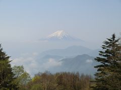 2013年5月　雁ヶ腹摺山、姥子山