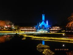 「なばなの里」ウィンターイルミネーション　河津桜満開