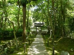 そうだ京都、行こう　地蔵院エリア