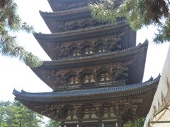 興福寺、猿沢池、聖武天皇陵