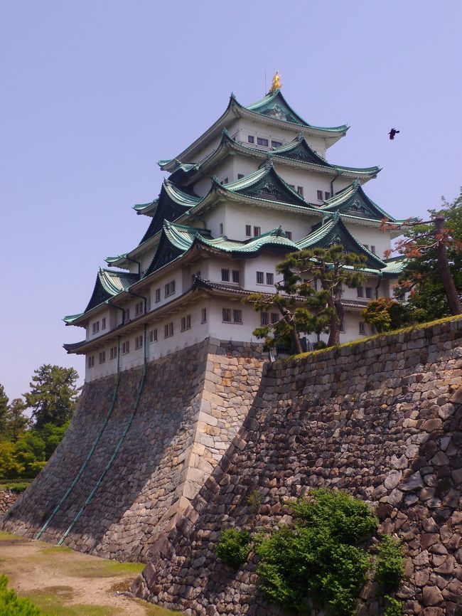 なんども名古屋は来たことがあるのだが名古屋城は遠目に見るだけで訪問したことはなかった。<br />ちょっと行ってみますか。