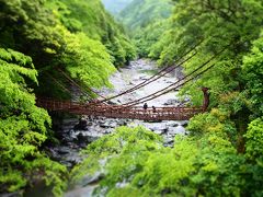 四国☆弾丸☆　一日目～大歩危～祖谷のかずら橋