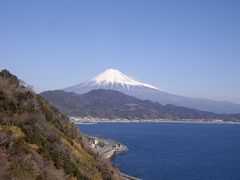 興津から富士へ