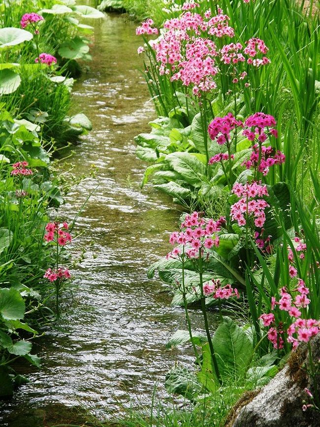 川治温泉に宿泊して世界遺産の日光東照宮周辺を見て、上三依水生植物園で咲き競う可憐な草花の妖精たちを楽しむ旅として計画しました。<br /><br />川治温泉の旅は下記のように3回に分けてアップ予定です。<br /><br />①世界遺産日光東照宮周辺散策<br />②早朝散歩川治温泉道祖神めくり<br /><br />③上三依水生植物園を楽しむ<br />