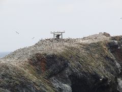 出雲大社「平成の大遷宮」　日御碕神社～日御碕灯台