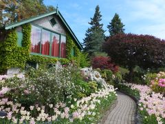 ちょっと贅沢なお花見に行こう！　ｉｎ　バンクーバー　☆２　ビクトリア1日観光編