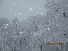 2013年１月　甥と蔵王二人旅　2/2