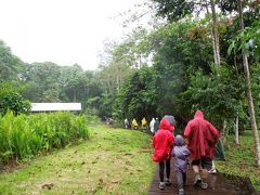 ボルネオ島旅行（４）　グヌン・ムル国立公園編１．