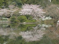 主婦４人。。桜の同窓会・京都①　日本桜の名所百選【8】【9】