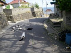 仙台、石巻、そして“猫の島”田代島へ。。