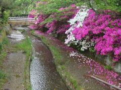 若狭の小京都：小浜