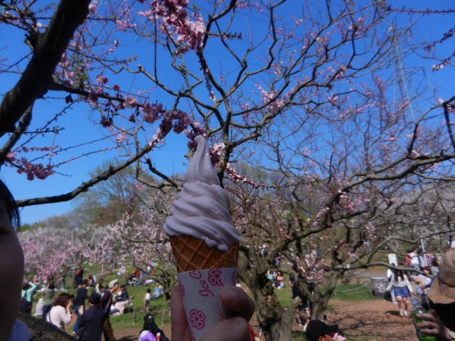 テレビで平岡公園の特集をやっており、梅が1200本あるとのこと！<br />梅を見に行ったことはあまりないし、テレビで映っていた梅ソフト（梅のソフトクリーム、ピンク色で可愛い♪）が美味しそう！！ということで･･･若干食べ物に釣られながらですが（笑）平岡公園に行ってきました。<br /><br />テレビ効果なのか、いい時期だったのか･･･めちゃ混みでした(&gt;_&lt;)<br />でも、とっても気持ちがよく、リフレッシュできました！<br /><br />でも、写真はイマイチいいのが撮れませんでした～(&gt;_&lt;)