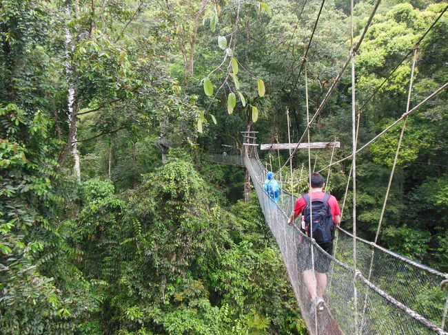 この旅行記は5/3（旅行6日目）の旅行記です。朝から、「ウインド洞窟＆クリアウォーター洞窟ツアー」「キャノピーウォーク」「Long Imanツアー」と三つのツアーに参加します。大忙しです（笑）。<br /><br />旅行日程（6泊8日）<br />　4/28　日本　→　ブルネイ<br />　4/29 - 4/30　ブルネイ<br />　5/ 1　ブルネイ　→　ミリ<br />　5/ 2　ミリ　→　ムル<br />☆5/ 3　ムル<br />　5/ 4　ムル　→　ミリ　→　日本