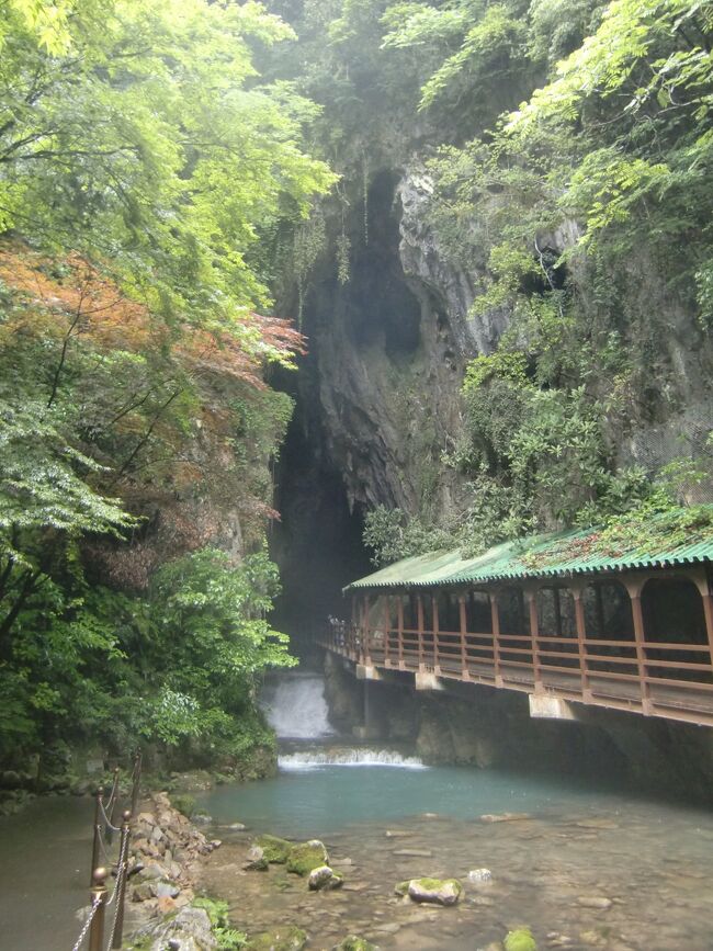 秋芳洞に訪れたくて山口へ。（土）の朝一で行ったので空いていたが、出る頃（１１時頃）には団体客とすれ違ったり洞窟内は混んできた。秋芳洞は高低差がほとんどなく広い見渡せる鍾乳洞なのでお子様も安心ルート。神々しい照明も設置されていないので自然を観察できる。駐車場に戻るには突き当たりまで行ったら戻ってきて出ないとならない。入口が狭いのに中が広い。途中、休むベンチも設置されている。