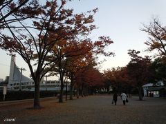 公園通りで博物館