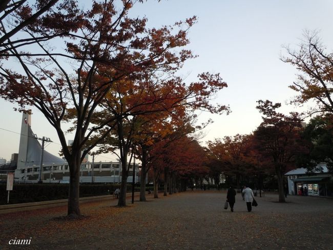 偶然通りかかった、たばこと塩の博物館。<br /><br />意外と充実☆