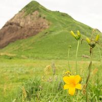 オレンジのトビシマカンゾウに会いたくて。。。二ツ亀から大野亀まで　誰もいない海岸散策の旅