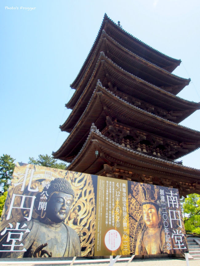 今年も遅ればせながらの私的ゴールデンウィーク、奈良へ行って来ました。<br />のぞみで京都へ、京都駅から近鉄奈良線特急で一目散にふたたびの奈良へ。<br /><br /><br /><br />さ〜て、今回の奈良旅は<br />・興福寺国宝公開を見ちゃう<br />・當麻寺で曼荼羅を拝んじゃう<br />・秋篠寺でミューズに会っちゃう<br />・岡寺で塑像の仏様に会っちゃう<br />・聖林寺のヴィーナスに会っちゃう<br />この見仏五本立を軸にお送りいたします。<br /><br /><br />2013年、南円堂は創建1200年目を迎えています。<br />1200年を記念ということで、北円堂と南円堂が同時公開となりました。<br /><br />北円堂は毎年、春と秋に公開期間がありますが南円堂は1年に1日だけ。<br />両方のお堂が長期間に渡り同時公開されるのは初めてのことです。<br /><br /><br /><br /><br /><br />※興福寺国宝特別公開2013　(6/2まで)<br />http://www.kohfukuji.com/event/detail.cgi?event_seq=00000014<br /><br />※JR東海 うましうるわし奈良　「興福寺 南円堂・北円堂篇」<br />http://nara.jr-central.co.jp/campaign/kohfukuji-sn/index.html<br /><br /><br /><br /><br />ちなみに、昨年のうまし うるわし、あをによし。<br />http://4travel.jp/traveler/izavel/album/10674639/