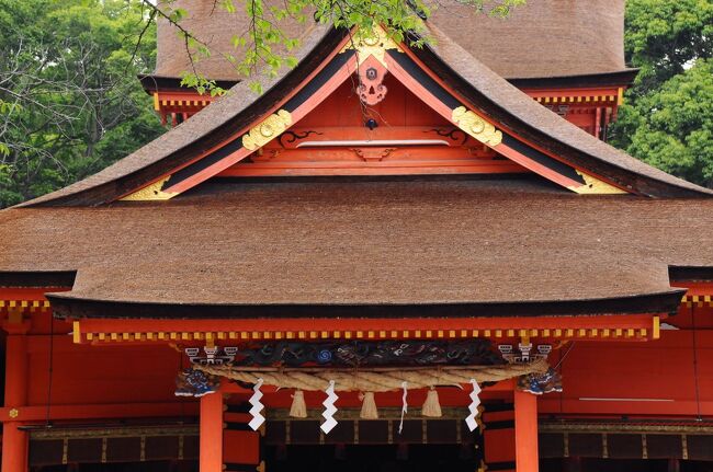 富士山を愛でる旅～富士浅間神社と白糸の滝～