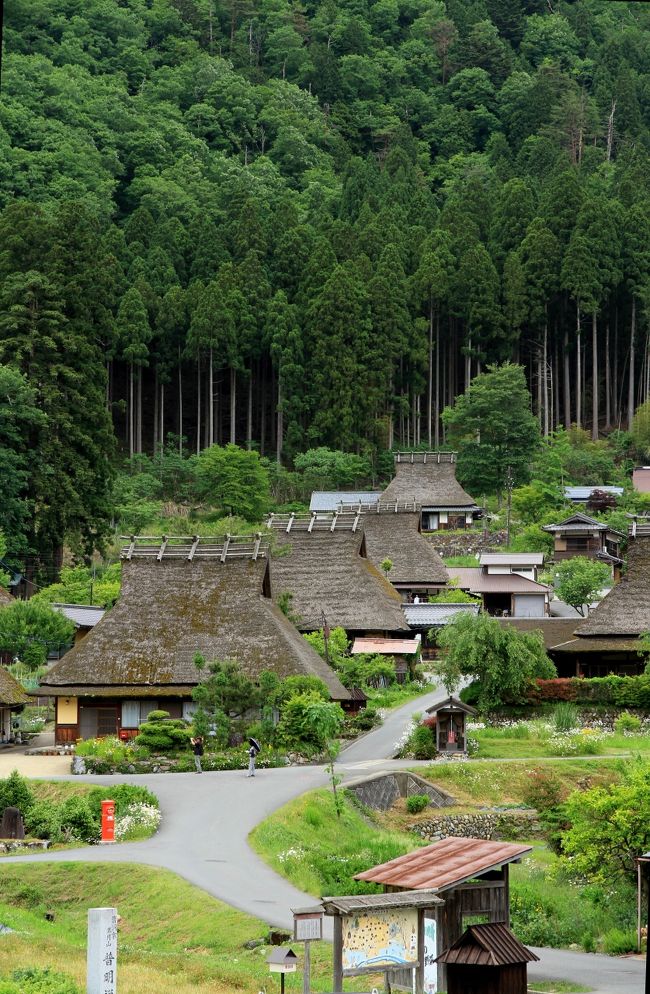 京都府美山町かやぶきの里から自然文化村のバラ園へ。帰途、亀岡市の西国三十三ヶ所第二十一番札所である穴太寺に参拝しました。<br /><br />京都府南丹市美山町のかやぶきの里<br />日本の原風景が残る、こころ癒される地です。<br /><br />京都縦貫道が名神高速とつながり、自宅のある堺市から２時間ちょっとで行くことができるようになりました。<br />園部ＩＣから３０数Ｋｍですが、信号もほとんどなく、舗装された山間の道路で快適なドライブとなりました。