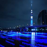 優しい青の光につつまれて～東京ホタル＊スカイツリーイベント～