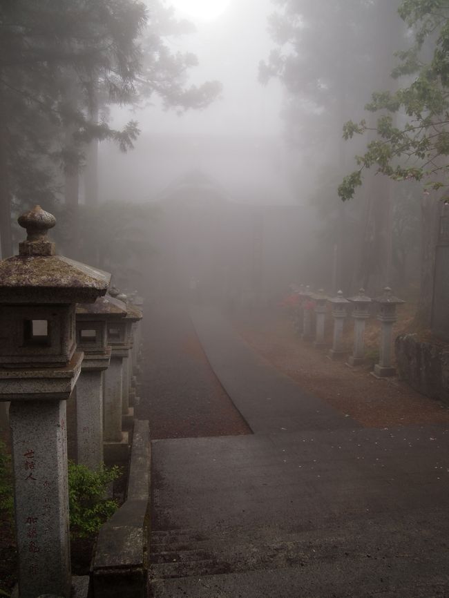 埼玉県奥秩父にある、どえらい山奥の三峯神社に行ってきました。<br />家を出てからおよそ７時間半もかけて到着…<br /><br />都会から延々交通機関を乗り継ぎまくって、くねくねの山道を辿って着いたわけですが、そこはまぎれもなく霧の中。<br />別世界。<br /><br />もう二度と行くことがないかもしれない、そう思えるほどの場所であり、そこまでして着いたからこそ、感慨深かったです。<br />霧のお姿もまた、三峯神社の「神様のお姿」なのだということでした。<br /><br />こういう旅もいいな。<br /><br />