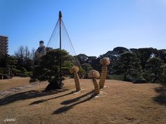 冬の清澄庭園