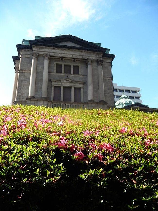 6月3日、午後3時頃、需要家訪問で常磐橋~三越前迄を歩いた。 青空の下に日本銀行の建物とサツキが良く合って美しかった。<br /><br /><br /><br /><br />*写真は日本銀行とサツキの風景