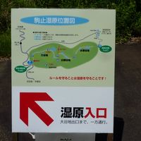 復興支援なつやすみツアー