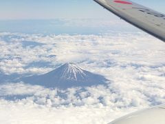 鰹を食べに高知へ