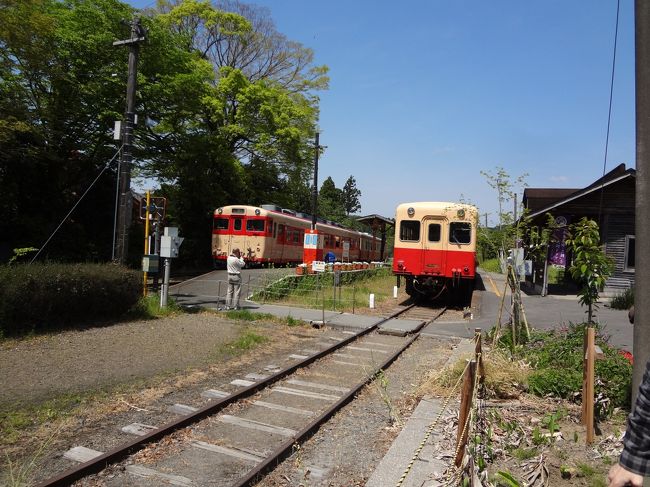 ４月２９日、タケノコ、鉄道、温泉を求めて、日帰り旅行をしました。<br />まずは、大多喜でタケノコを買い、次に、途中の上総中野駅を見て、最後に亀山湖の嵯我和旅館で温泉を楽しみました。<br />朝７時過ぎに家を出て、まずは大多喜のたけゆらの里です。<br />ＧＷだったので、お店は大繁盛です。今年はちょっと値段が高めでした。<br />中くらいのを２本買って、900円です。<br />次に、亀山湖を目指しましたが、夷隅大多喜鉄道沿いを通りましたので、上総中野駅に行きました。<br />丁度、電車の来る時刻で、写真機を持った人が結構居ました。<br />息子は、駅構内に入って両方から、古い電車が来たので大喜びです。<br />私は、マニアではないので、車の中でボーっとしていました。<br />適当に写真は撮りましたが。<br />その後、亀山湖の嵯我和さんで温泉＆昼食です。<br />ＧＷ中でもあり、我々の後、結構なお客さんが来ました。<br />今回は、露天風呂が男性で、女性が内風呂でした。<br />息子と貸し切り状態だったので、３０分近くも温泉で遊びました。<br />その後、12時過ぎ位に食事だったのですが、ここでも見事にタケノコづくし。<br />新鮮でおいしかったです。<br />ちなみに、筍ご飯×２、手作り豆腐＆筍ご飯×１でした。<br />量も多く、満足です。<br />1時間位、食事を楽しみ、空いているうちに、帰宅し、15時過ぎには到着しました。<br />しっかり、夜ご飯もタケノコでした。