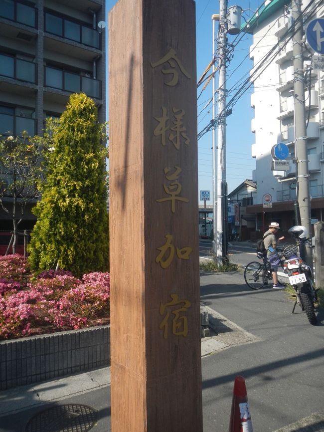 日本橋に行ったことがあるから、そこから初めて日光街道の宿場町なら自宅から近いので日帰り（どころか最初のうちは半日もかからない）でいけるから旅行記に書いてみようかとの思いつきで始めた。<br /><br />今回は草加宿。<br /><br />バイクで回ったが途中が一方通行のなっていて、当然直進できなくなっていたりしていて面倒だった。<br /><br />道はこの先、草加松原続く。