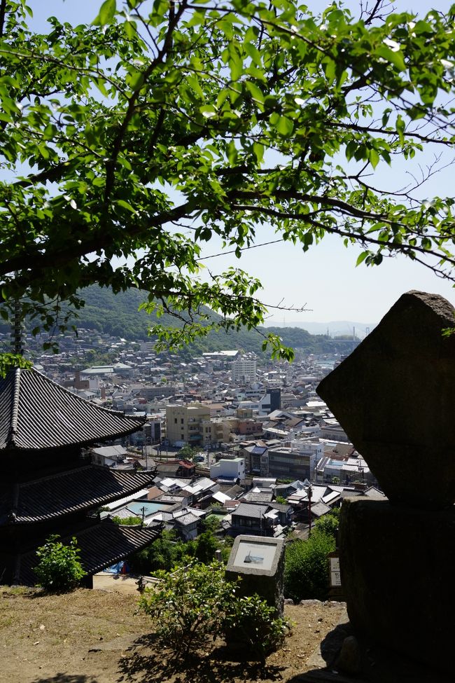 福山での仕事を済ませばプライベートタイム<br />社には週末までの休暇届を提出しておいた♪<br />尾道駅を降り立ったのは午後八時、晩飯に予定した店へ行くべく尾道市民の足「一円ポッポ」に乗船<br />約三分の短い船旅で尾道水道を渡り対岸の向島へ♪<br />向った先は完全な地域密着型居酒屋「とっくり居酒屋」<br />真蛸・細魚・桜鯛・サザエ・ニシなど旬の刺し盛りとメバルの煮付、地元酔心のお燗でやる。<br />店主やご常連との会話を楽しみ、ふと女将の一言<br />「そろそろ最終便の時間よ」<br />そうなんです、１０時の最終渡し船を乗り越せば尾道まで尾道大橋を使いタクシーで帰る事に！<br />渡し賃１００円が５０００円掛ける事になってしまう訳で・・・<br />後ろ髪を引かれる思いで向島を後にした。<br />尾道駅からホテルへは西日本一長いと称されるアーケード街を行く、十時を回り人通りの無い商店街<br />コレはコレで面白いかも♪<br />翌朝も快晴、ホテルで朝食を済ませロープウェイで千光寺山頂を目指す。<br />左程高い山ではないが眼下に尾道水道、しまなみ海道の尾道大橋を望む絶景<br />かの大林監督がココ尾道を愛した理由が解る気がした。