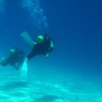 なんだかんだと結局2年連続で阿嘉島！