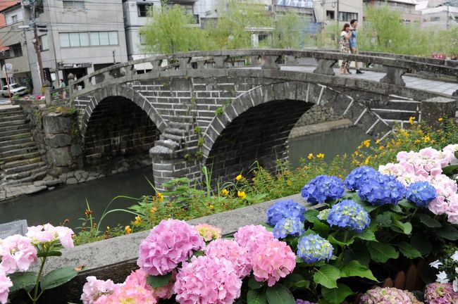 ハウステンボスを巡った翌日は長崎市内に、紫陽花を見に行きました。時折、小雨がぱらつく天気でしたが、それが紫陽花には大変に好適な天気で、見事なばかりに見ごろを迎えた紫陽花を存分に堪能できました。<br />またハウステンボスから長崎市内にはJR大村線のシーサイドライナーだと2両編成で混雑して立ち通しということもあり得るので、ハウステンボス内のトヨタレンタカーで大村湾をJR大村線とは反対側の西海橋経由で長崎入りしました。西海橋は、昔は夢の大橋と呼べばれていて造形的にも美しい橋なので、一度訪れてみたいと思っていました。<br />長崎は観光パンフレットにあった「遊さるくおすすめコース」に沿って出島から眼鏡橋を経てシーボルト記念館まで約2時間かけて歩きました。