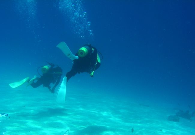 なんだかんだと結局2年連続で阿嘉島！