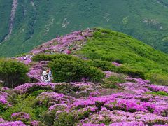 2013花の山、くじゅう平治岳へ、ミヤマキリシマに逢いに行く