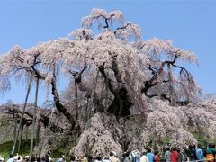 2013郡山・三春桜めぐり。1 小野インター～滝桜～三春町