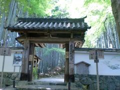 京都竹寺に行く