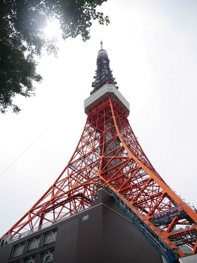 東京タワーに登ってみようか・・友達の誘いにのり、久々に行ってみることにしました。スカイツリーが大人気の中、今の東京タワーはどうなっているのでしょう・・・<br />そしてその後、飛鳥山の「飛鳥の小路」に若い紫陽花を見に行きました。