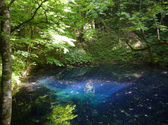 世界遺産にもなっている白神山地に行きたくて、秋田に行ってきた。ブナ林、十二湖、オゾンをいっぱいすって元気をもらってきた。男鹿半島ではなまはげの実演を見てきて、本当に怖くて、子供なら泣いてしまうだろうなと思った。<br /><br />　　　　　　7：25　　羽田発　　　　秋田市内　　民俗芸能伝承館、赤レンガ館、十二湖<br />　　　　　　17:00    秋田発　　　　男鹿半島　なまはげ実演、角館　武家屋敷