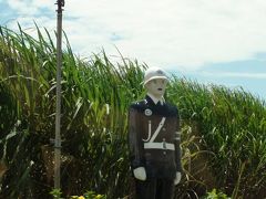 梅雨だけど宮古島 (後編)