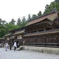 神秘の里「熊野」・・・この世界遺産エリアをじっくり堪能してきました。