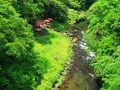 石川　無限庵と鶴仙渓の緑